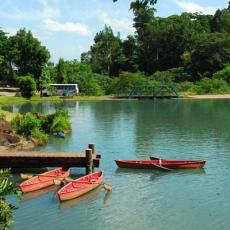 Mambukal Mountain Resort