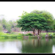 Ninoy Aquino Park and Wildlife Center