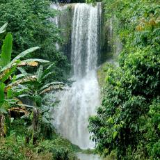 Kawasan Falls, Bohol