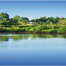 Trinidad Scapes, Bohol