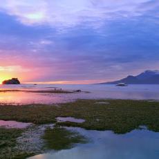 Mantangale Alibuag Dive Resort Inc.