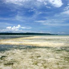 Vanishing Island/Sanipaan Shoal