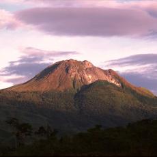 Mt. Apo