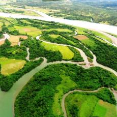 Palanan Wilderness Area/Rainforest 