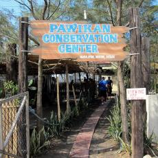 Pawikan Conservation Center