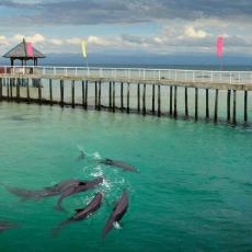 Misamis Occidental Aquamarine Park