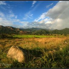 Nueva Ecija
