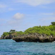 Malapascua Island