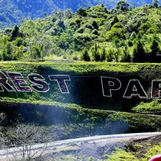 Dahilayan Forest Park