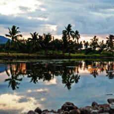 Davao del Sur