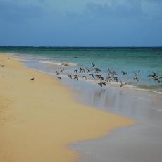 Cagbalete Island