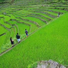 Batad Rice Terraces