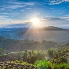 Cebu Landscapes