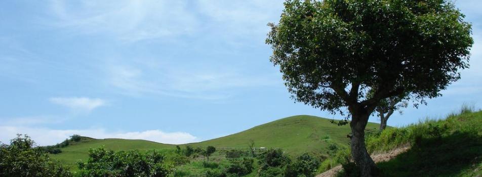 Mt. Gulugod Baboy