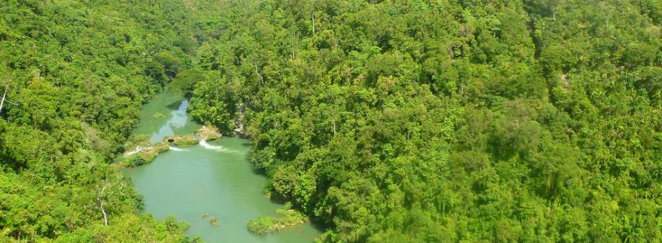 Loboc River