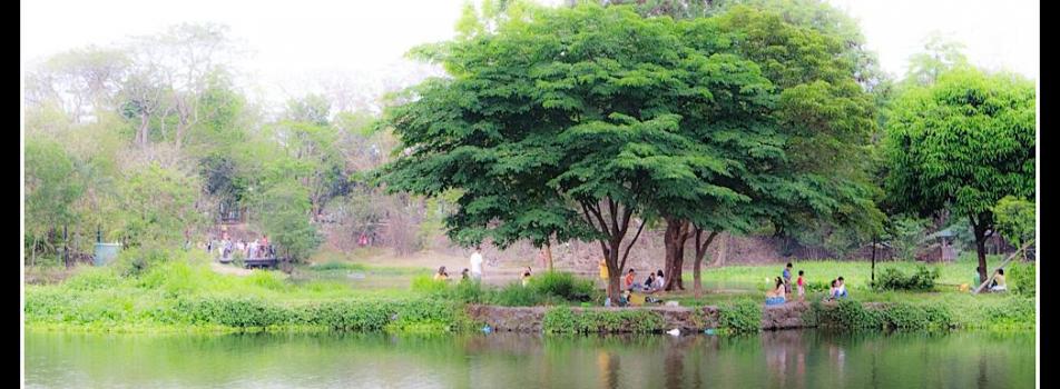 Ninoy Aquino Park and Wildlife Center