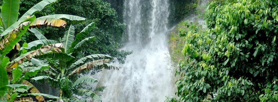 Kawasan Falls, Bohol