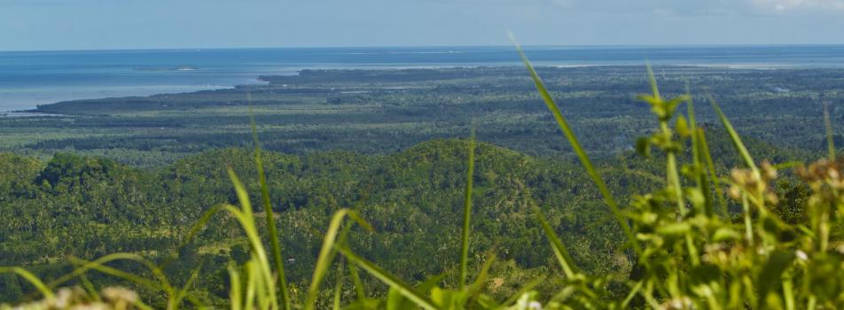 Clarin Panorama