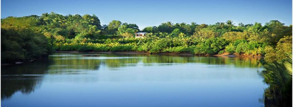 Trinidad Scapes, Bohol