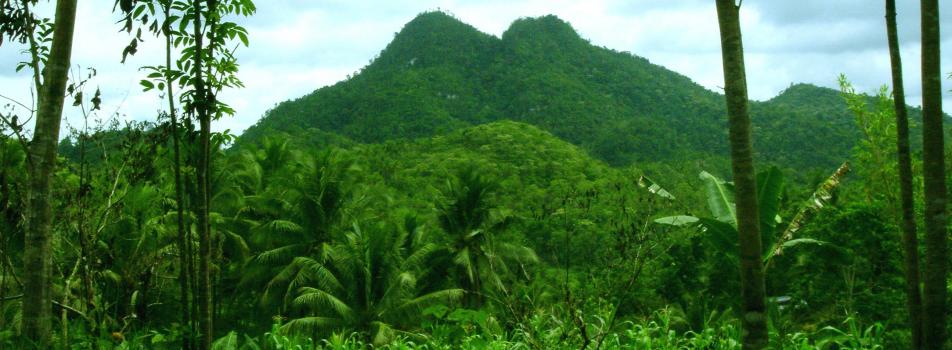 Twin Peak, Balilihan