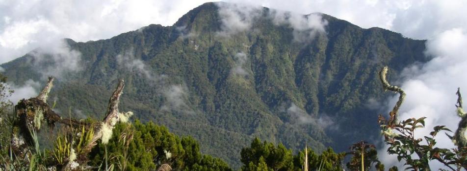 Mt. Dulang-Dulang