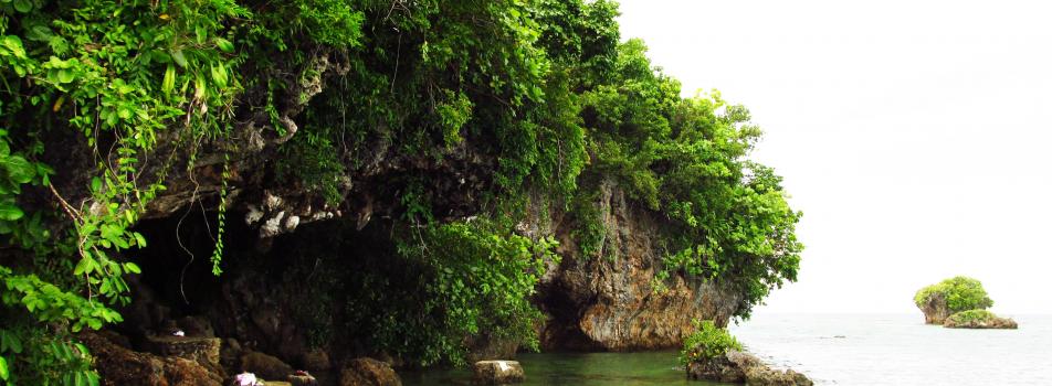 Divinubo Island (Puro Halipot)