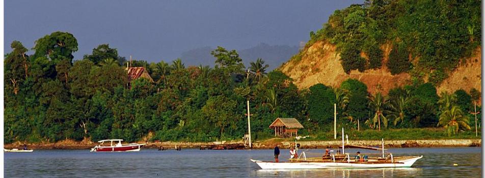 Palawan Panorama