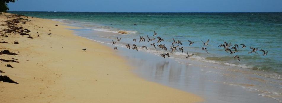 Cagbalete Island