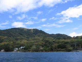 Anilao's Bounty of Nature