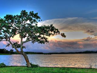 Must-See Tourist Spots in the Resort Capital of the Philippines