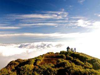 Mt. Pulag Natural Park