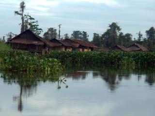 Agusan Marsh