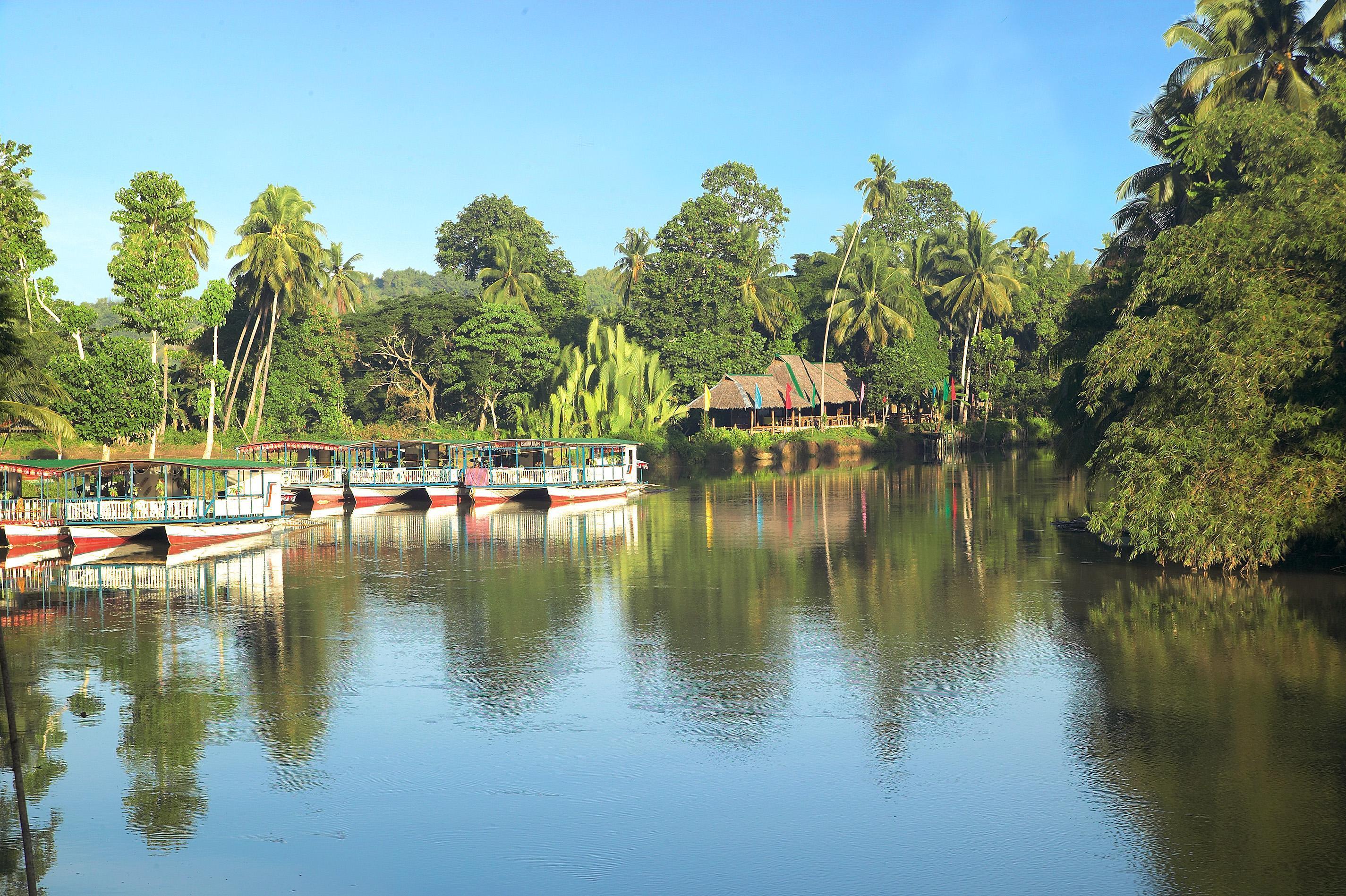 Love Cruising At Loboc River