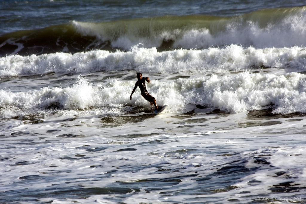 Important Things to Remember When in Baler