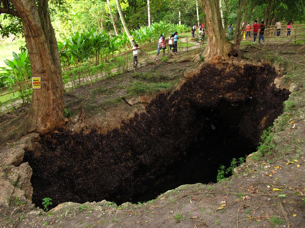 Monfort Bat Sanctuary