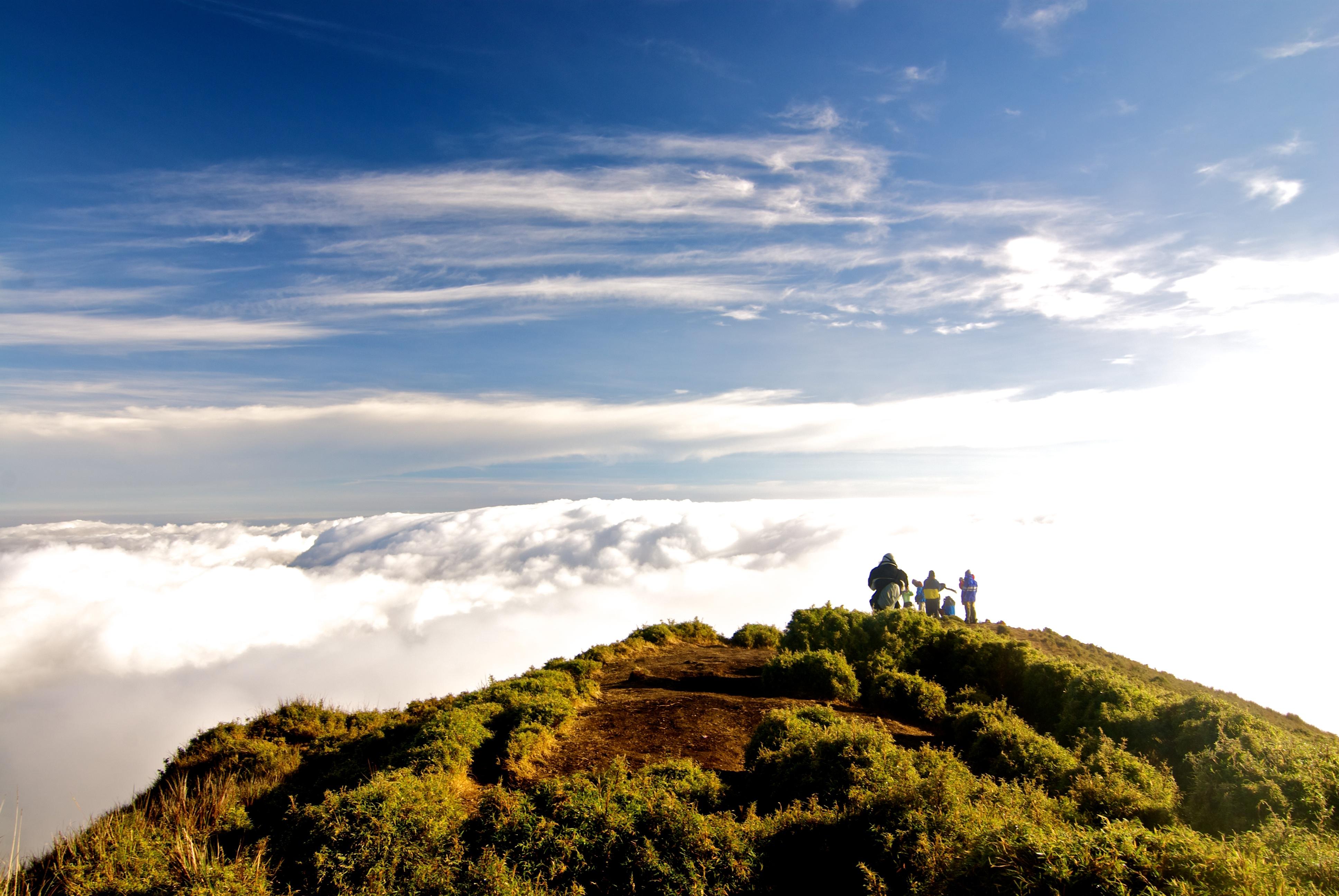 Mt. Pulag Natural Park