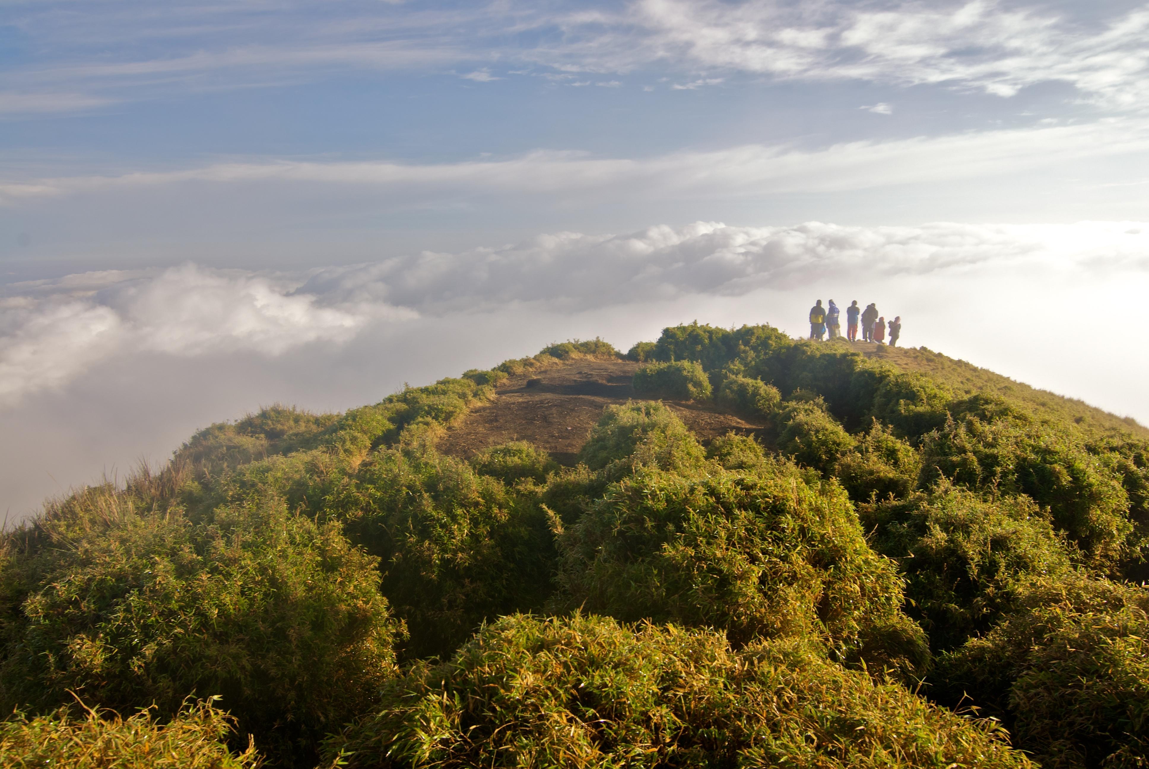 Mount Pulag: Luzon