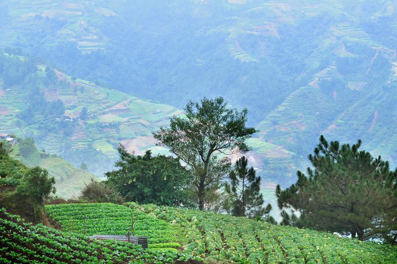 Bontoc Vista, Mountain Province