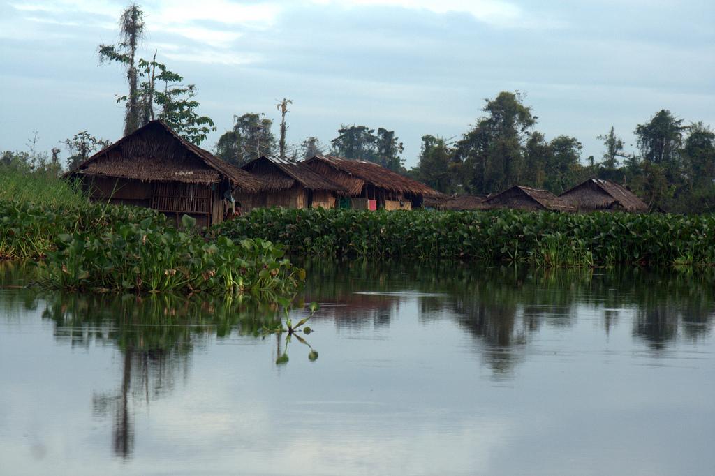 Agusan Marsh