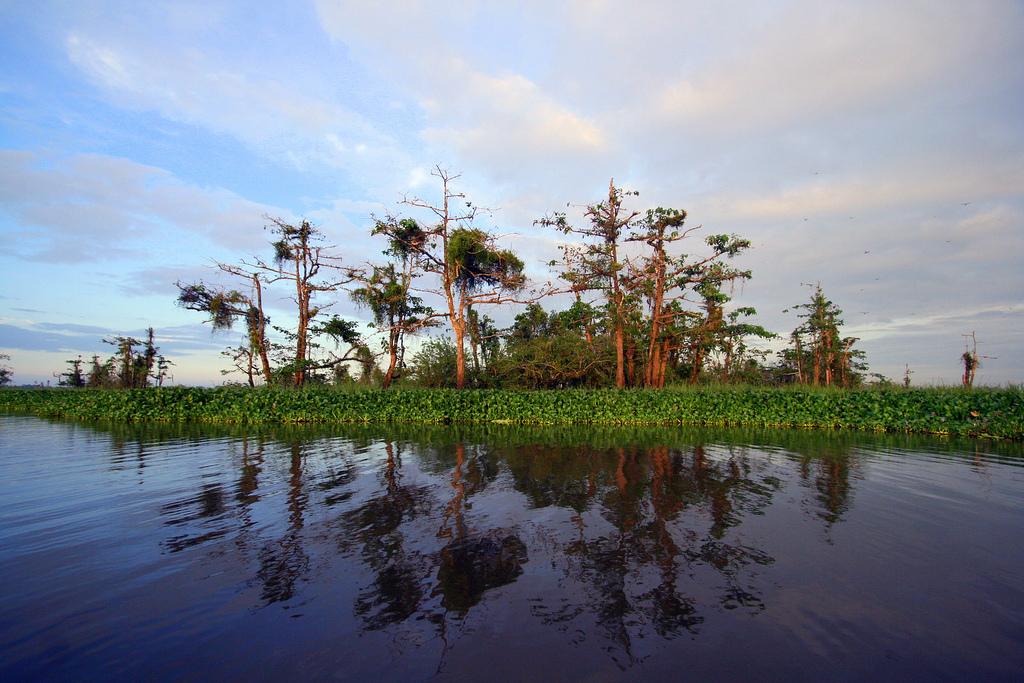 Agusan del Sur – Haven of Natural Wonders