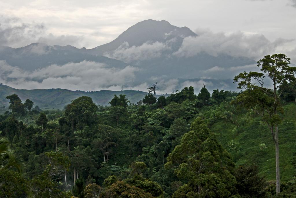 Mt. Apo