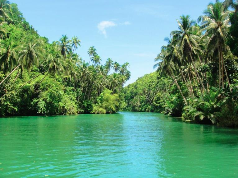 Love Cruising at Loboc River