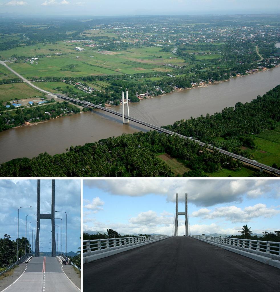 Macapagal Bridge