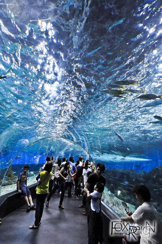 manila ocean park tourist spot