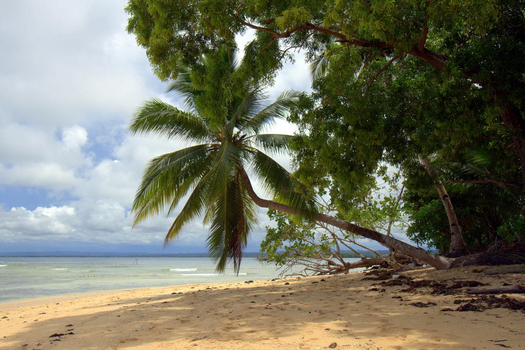 Bislig City’s Tropical Getaway: Hagonoy Island